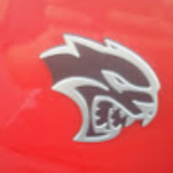 Meet your Posher, Christopher - Picture 1 of 1